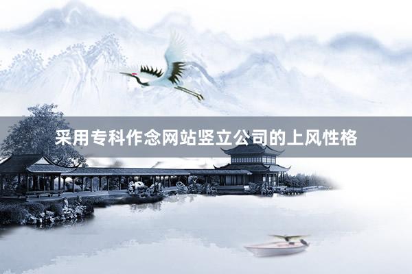 采用专科作念网站竖立公司的上风性格