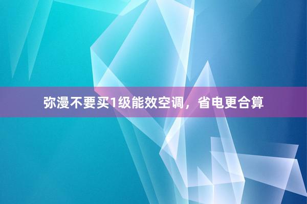 弥漫不要买1级能效空调，省电更合算