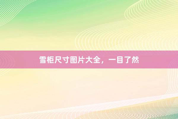 雪柜尺寸图片大全，一目了然